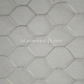 Hot-dip Galvanized Hexagonal Wire Netting